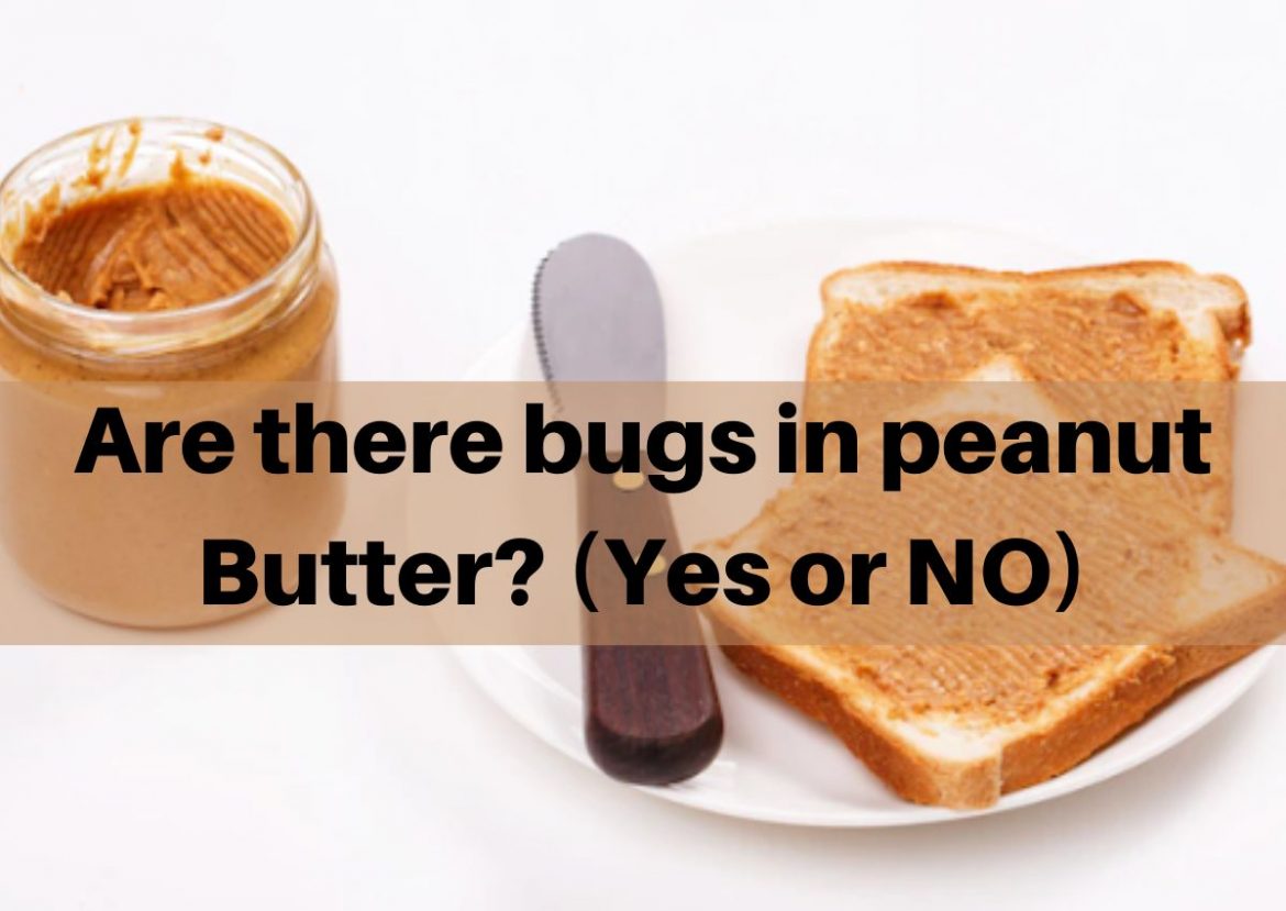 Are there bugs in peanut Butter? (Yes or NO)